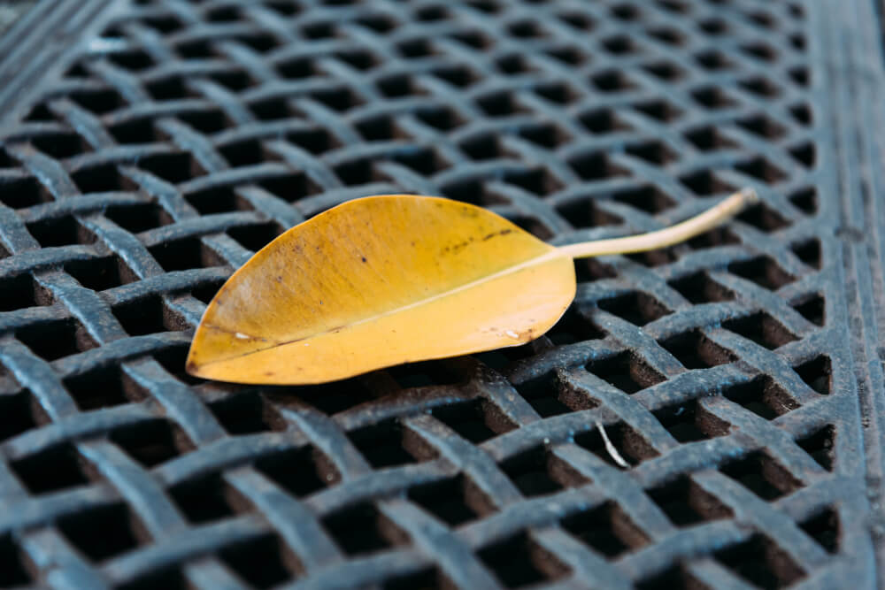 The Best Flush Caps and Leaf Diverters for Clean, Efficient Rainwater Harvesting