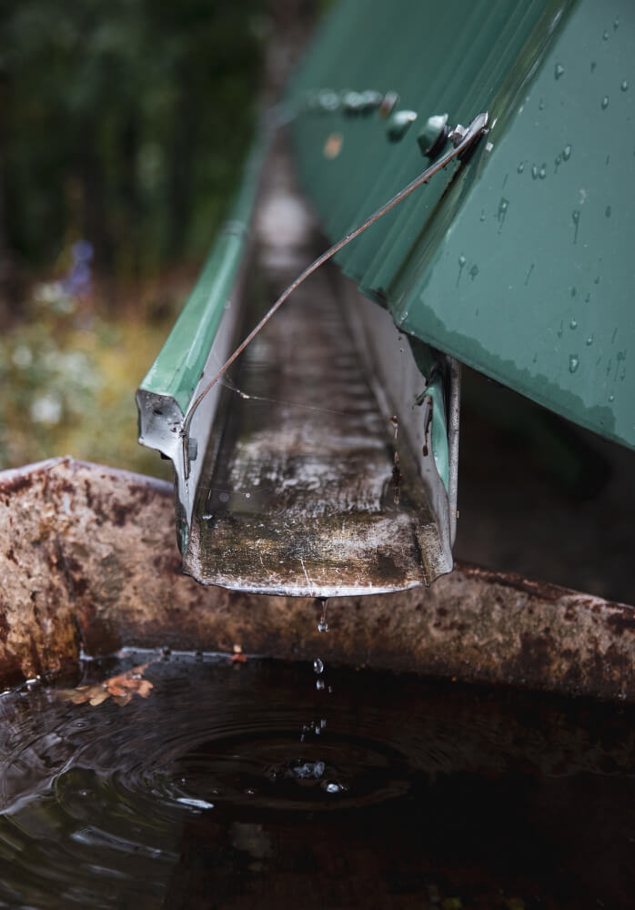 The Best Flush Caps and Leaf Diverters for Clean, Efficient Rainwater Harvesting